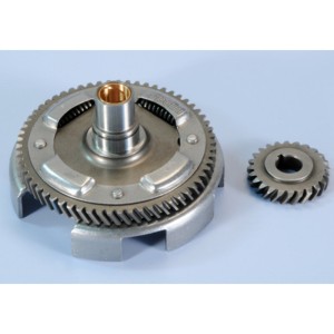 Desarrollo primario POLINI Z:24-61 202.1220