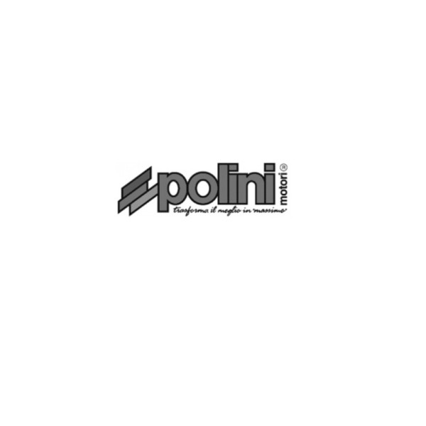 Segmento POLINI Ø46x1,5mm 206.0260