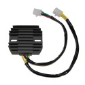 Regulador ELECTROSPORT ESR160