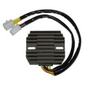 Regulador ELECTROSPORT ESR180