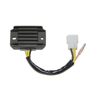 Regulador ELECTROSPORT ESR600