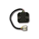 Regulador ELECTROSPORT ESR672