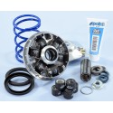 Variador Polini Hi-Speed EVO Piaggio D16-12,5º 241.748 241.749