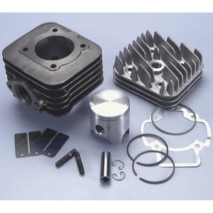 Kit Polini PIAGGIO SFERA-ZIP-FREE 50 D.47 (1400181) 140.0181