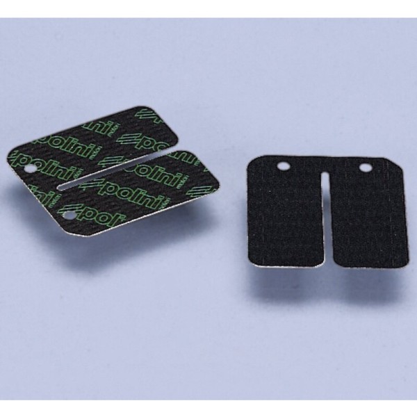 Láminas de carbono Polini Yamaha/Minarelli (213.0530)