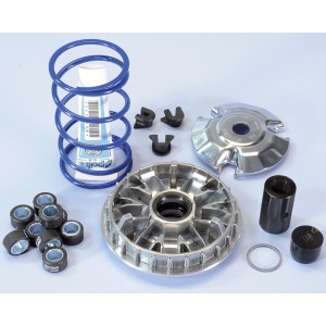 Variador Polini HI-SPEED PIAG. 200/250/300 9R. (241665) 241.665