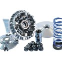 Variador Polini HI-SPEED YAM.T-MAX 500 12 ROD. (241696) 241.696