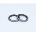 RETENES Variador Polini MBK BOOSTER (242043) 242.043