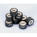 Rodillos de variador POLINI 25x14mm 19gr - 8 pcs 242.223