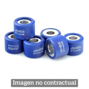 Rodillos de variador POLINI 25x17mm 15gr 242.281
