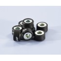 Rodillos de variador POLINI 20x17mm 11,8gr - 8 pcs 242.293
