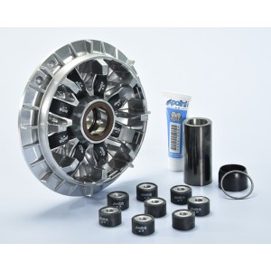 Variador Hi-Speed Polini, 8 rodillos, - Yamaha T-max 241.735