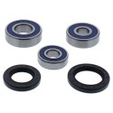 Kit de rodamientos de rueda trasera ALL BALLS 25-1780