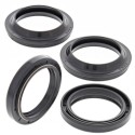 Kit de retenes y guardapolvos de horquilla ALL BALLS - 41,7x55x7,5/10 mm 56-162