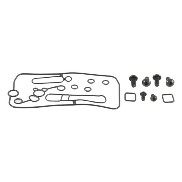 Kit reparación de carburador ALL BALLS 26-1510