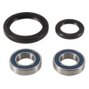 Kit de rodamientos de rueda delantera ALL BALLS 25-1753