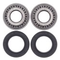 Kit de rodamientos de rueda delantera ALL BALLS 25-1002