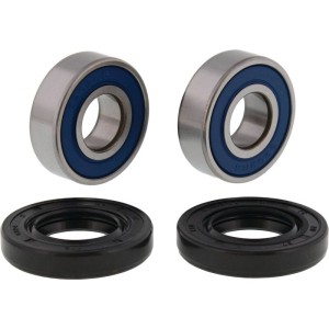 Kit de rodamientos de rueda trasera ALL BALLS 25-1826