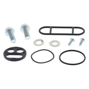 Kit reparación grifo de gasolina ALL BALLS 60-1000