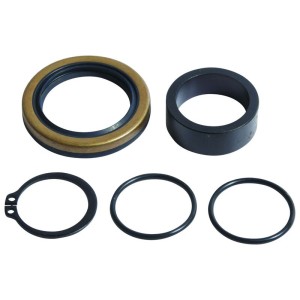 Kit de reparacion piñon de salida ALL BALLS 25-4047