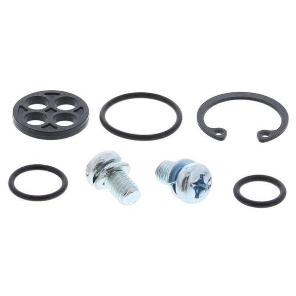 Kit reparación grifo de gasolina ALL BALLS 60-1096
