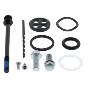 Kit reparación grifo de gasolina ALL BALLS 60-1201