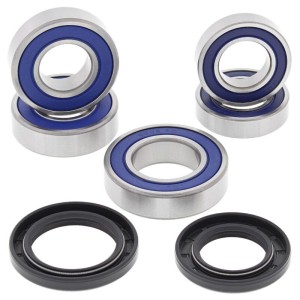 Kit de rodamientos de rueda ALL BALLS 25-1099