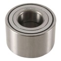 Kit de rodamientos de rueda ALL BALLS 25-1752