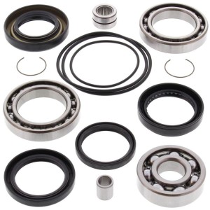 Kit rodamientos y retenes de diferencial trasero ALL BALLS 25-2010