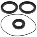 Kit retenes de diferencial trasero ALL BALLS 25-2045-5