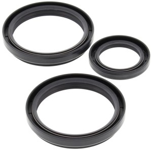 Kit retenes de diferencial delantero ALL BALLS 25-2051-5