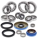 Kit rodamientos y retenes de transeje ALL BALLS 25-2087