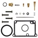Kit reparación de carburador ALL BALLS 26-1307