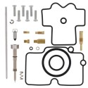 Kit reparación de carburador ALL BALLS 26-1491