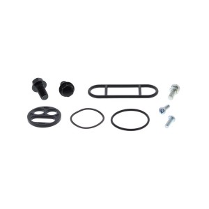 Kit reparación grifo de gasolina ALL BALLS 60-1031