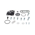 Kit reparación grifo de gasolina ALL BALLS 60-1036