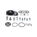 Kit reparación grifo de gasolina ALL BALLS 60-1043