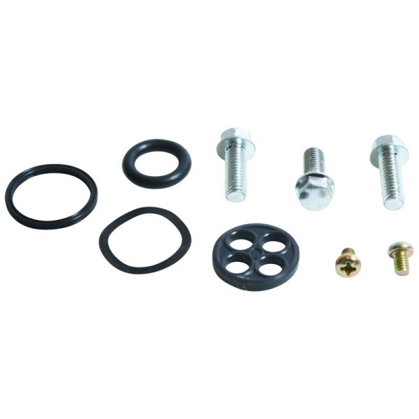 Kit reparación grifo de gasolina ALL BALLS 60-1059