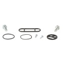 Kit reparación grifo de gasolina ALL BALLS 60-1091