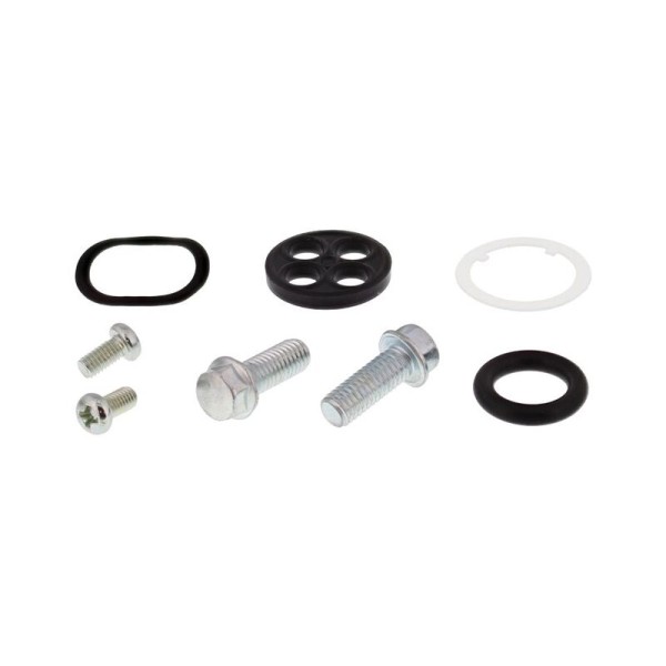 Kit reparación grifo de gasolina ALL BALLS 60-1100