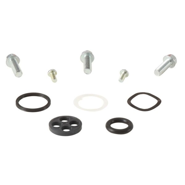 Kit reparación grifo de gasolina ALL BALLS 60-1102