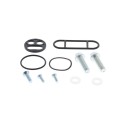Kit reparación grifo de gasolina ALL BALLS 60-1109