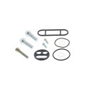 Kit reparación grifo de gasolina ALL BALLS 60-1118