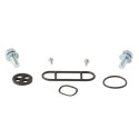 Kit reparación grifo de gasolina ALL BALLS 60-1122
