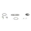 Kit reparación grifo de gasolina ALL BALLS 60-1125