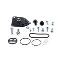 Kit reparación grifo de gasolina ALL BALLS 60-1128