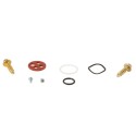 Kit reparación grifo de gasolina ALL BALLS 60-1140