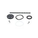 Kit reparación grifo de gasolina ALL BALLS tipo remache 60-1210