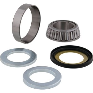 Kit rodamientos de dirección con retenes ALL BALLS 99-3519-5