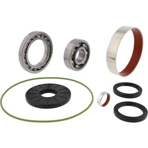 Kit rodamientos y retenes de diferencial ALL BALLS 25-2155